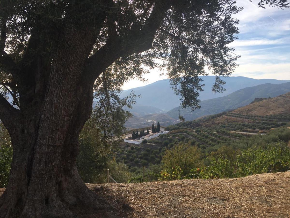 Jardin Andaluz Appart Alhambra Pinos del Valle エクステリア 写真
